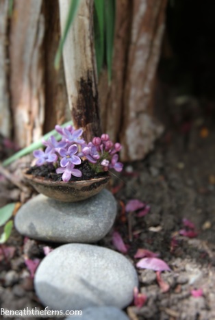 Miniature walnut flower basket for fairy garden
